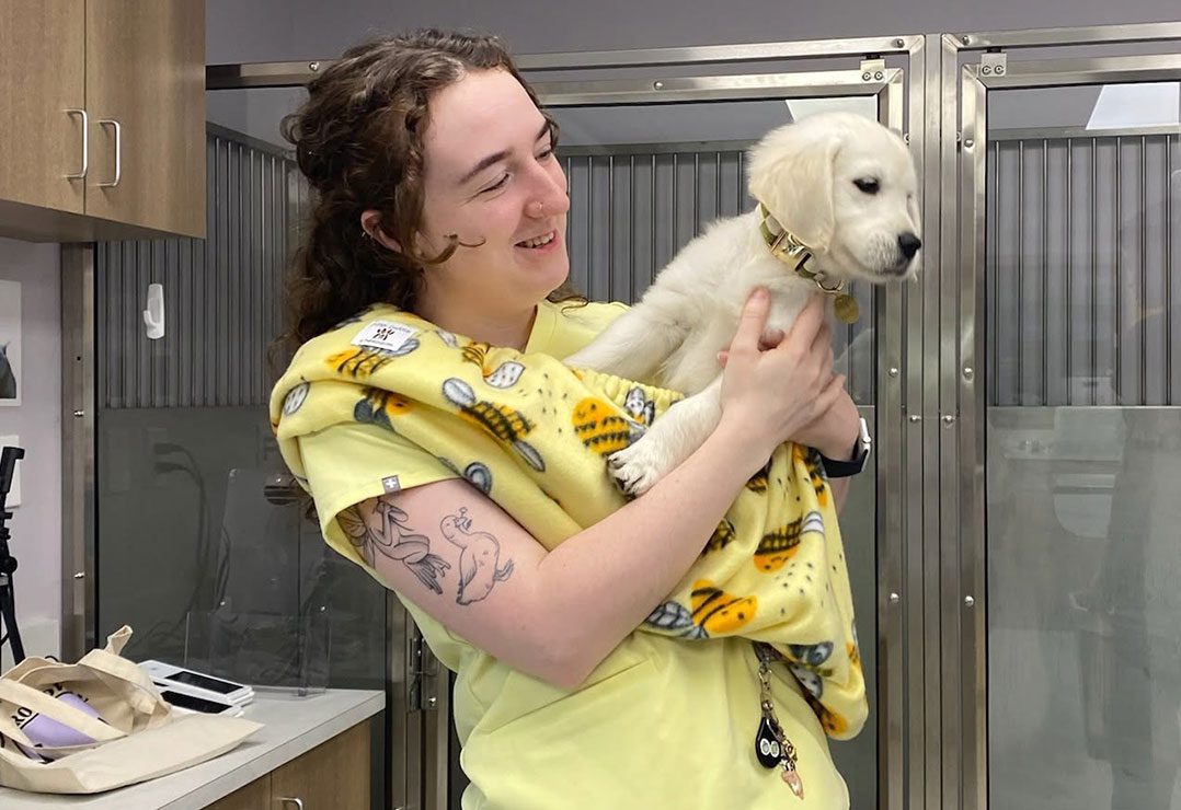 female staff member smiling while holding golden retriever puppy